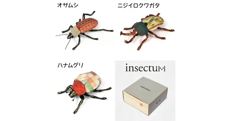 【ふるさと納税】昆虫オブジェ insectum (インセクタム) [0240]