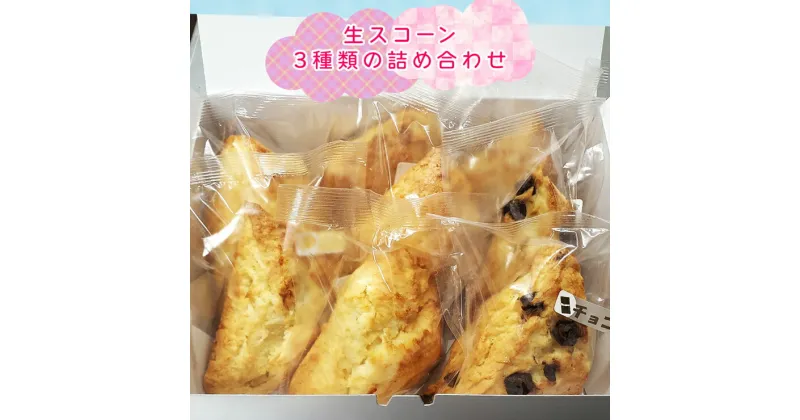 【ふるさと納税】生スコーン 3種類の詰め合わせ すずらんベーカリー スイーツ 焼き菓子 手作り お菓子 おやつ ギフト [0567]