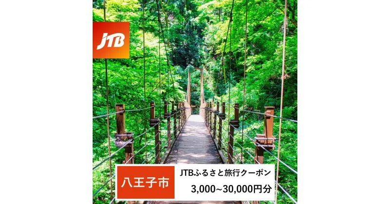 【ふるさと納税】【八王子市】JTBふるさと旅行クーポン（Eメール発行）（3,000円分～30,000円分）