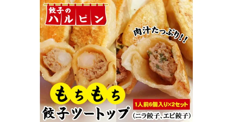 【ふるさと納税】餃子ツートップ　2人前＜餃子のハルピン＞ ／ ぎょうざ ギョーザ 2種 計12個 中華 冷凍 送料無料 東京都 [No.005]