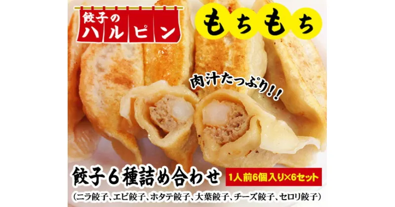 【ふるさと納税】餃子6種詰め合わせ　6人前＜餃子のハルピン＞ ／ ぎょうざ ギョーザ 計36個 中華 冷凍 送料無料 東京都 [No.060]