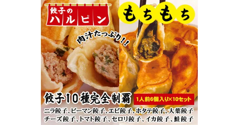 【ふるさと納税】餃子10種完全制覇　10人前＜餃子のハルピン＞ ／ ぎょうざ ギョーザ 10種詰め合わせ 計60個 中華 冷凍 送料無料 東京都 [No.098]