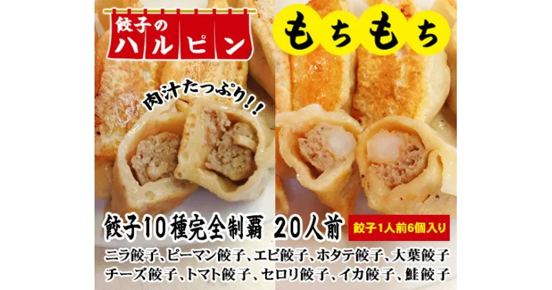 【ふるさと納税】餃子10種完全制覇　20人前＜餃子のハルピン＞ ／ ぎょうざ ギョーザ 10種詰め合わせ 計120個 中華 冷凍 送料無料 東京都 [No.108]