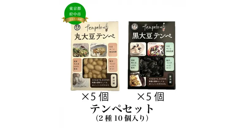 【ふるさと納税】テンペセット（2種10個入り）【加工食品・納豆・大豆・グルメ・発酵】