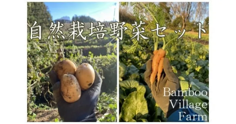 【ふるさと納税】Bamboo Village Farm　自然栽培で育てた町田野菜セット