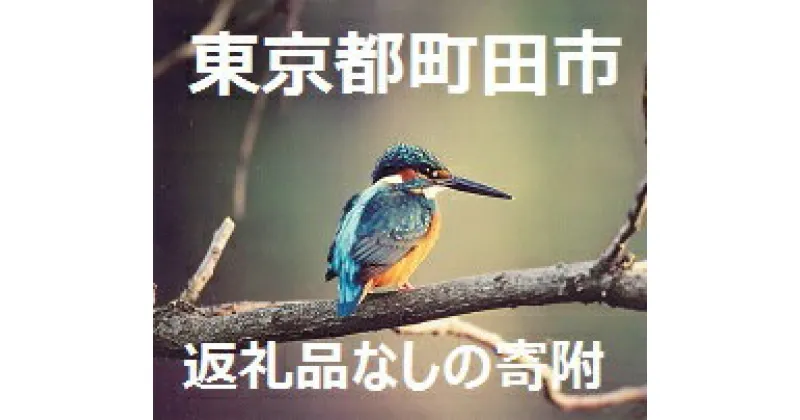 【ふるさと納税】東京都町田市　返礼品なし(寄附のみの受付となります)