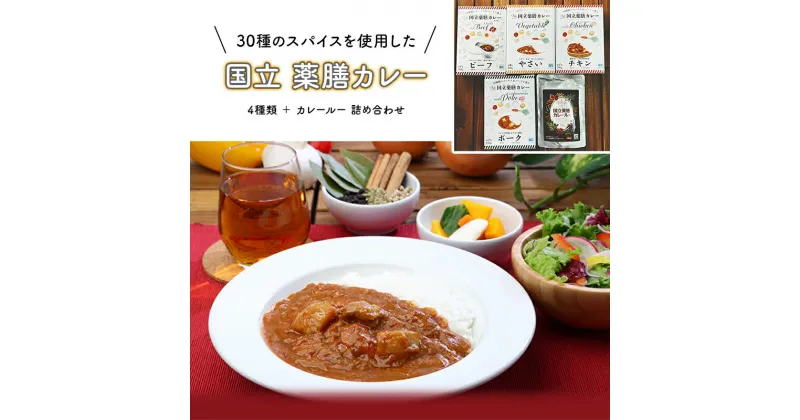 【ふるさと納税】30種のスパイスを使用した 国立 薬膳カレー 4種類 ＋ カレールー 詰め合わせ レトルト ポーク チキン 野菜 ビーフ 　 加工食品 惣菜 詰め合わせ 野菜の甘み スパイスの辛さ 保存食 ポーク チキン 野菜 ビーフ カレールー 液状