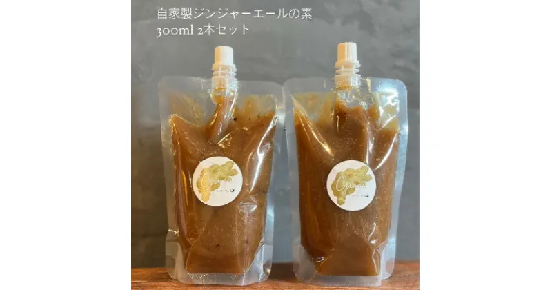 【ふるさと納税】【スパイスカレー専門店/山のスパイス】　自家製ジンジャーエールの素　2本セット【配送不可地域：離島】【1521357】