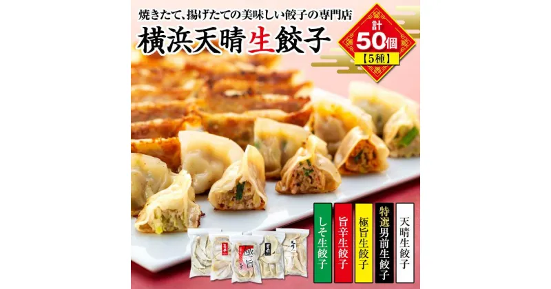 【ふるさと納税】天晴バラエティセット（生餃子5種　計50個） | 食品 おかず 加工食品 中華総菜 人気 おすすめ 送料無料