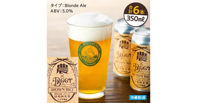 【ふるさと納税】TDM 1874 Brewery　クラフトビール　農×Beer（のびーる）はるみ玄米（350ml×6本）【お酒・地ビール・酒】 | ビール お酒 さけ 人気 おすすめ 送料無料 ギフト 数量限定