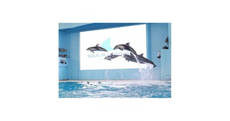 【ふるさと納税】横浜・八景島シーパラダイス　ワンデーパス（水族館4施設＋アトラクション）大人2名さま＋小中学生2名さま | 券 人気 おすすめ 送料無料