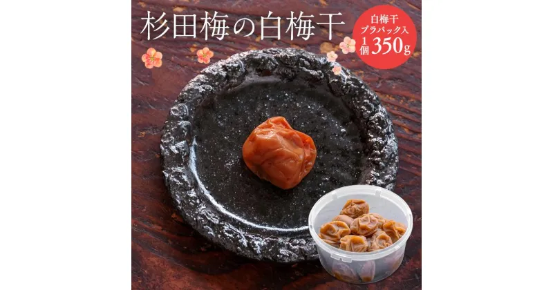 【ふるさと納税】杉田梅の白梅干　プラパック入り　1個 | 梅干 食品 加工食品 人気 おすすめ 送料無料 数量限定