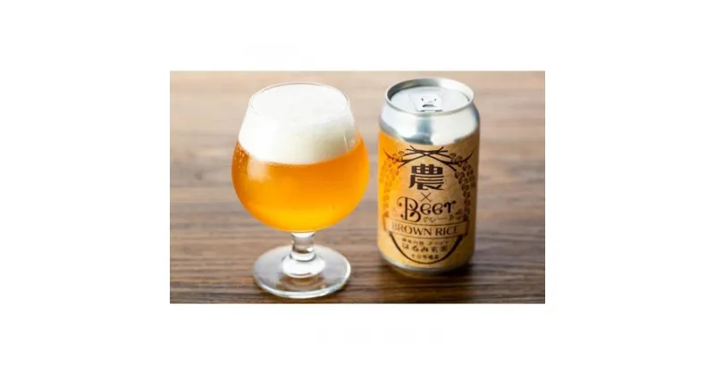 【ふるさと納税】TDM 1874 Brewery クラフトビール　農×Beer（のびーる）はるみ玄米（350ml×3本）【お酒・地ビール・酒】 | 地ビール クラフトビール お酒 さけ 人気 おすすめ 送料無料 ギフト