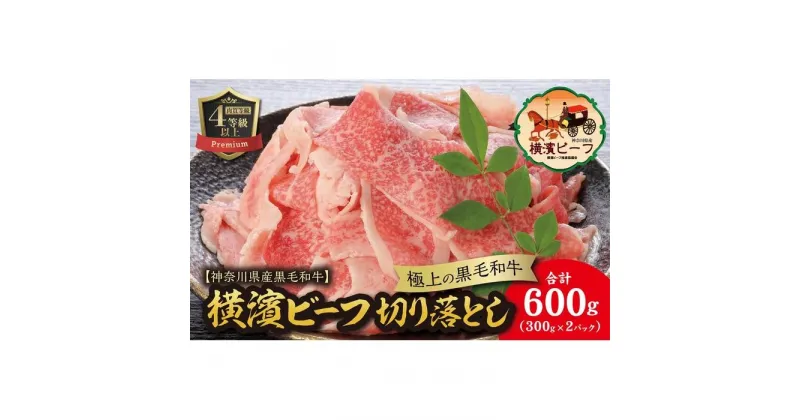 【ふるさと納税】【神奈川県産黒毛和牛】かながわブランド認定　極上の黒毛和牛　横濱ビーフ　切り落とし　300g×2 | 肉 お肉 にく 食品 人気 おすすめ 送料無料 ギフト